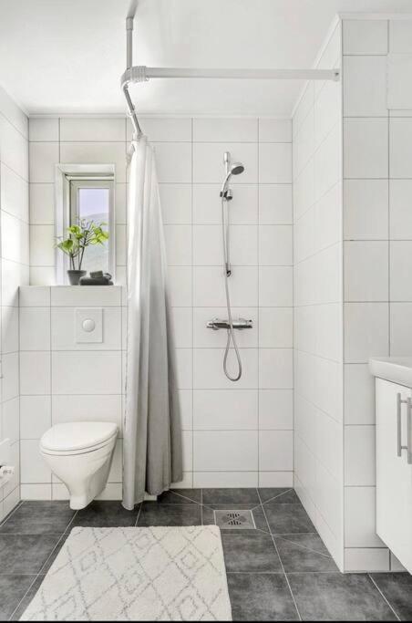 Northern Dreams Apartment With Free Parking ترومسو المظهر الخارجي الصورة