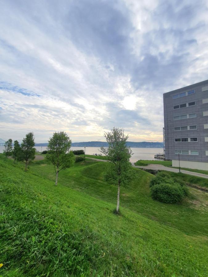 Northern Dreams Apartment With Free Parking ترومسو المظهر الخارجي الصورة